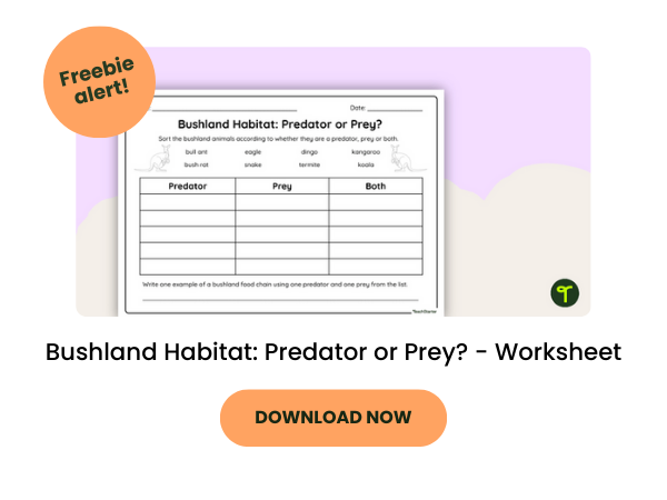 A worksheet for primary school kids called Bushland Habitat: Predator or Prey? - Worksheet