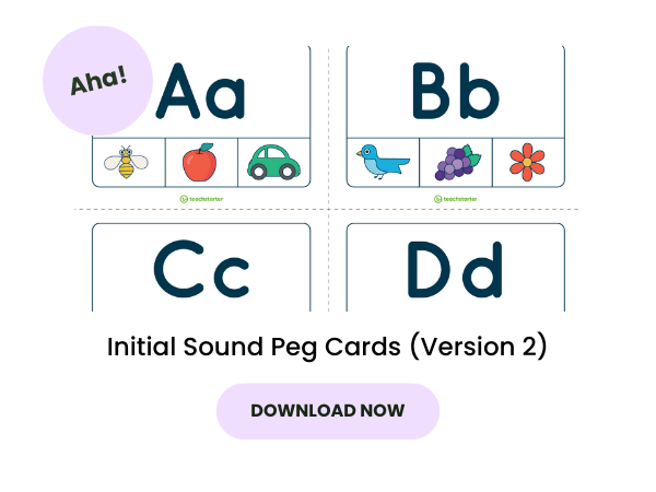 Initial sound peg cards with pink 