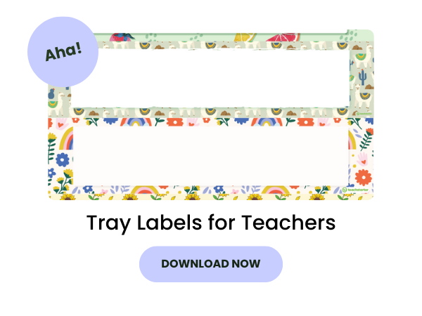 Preview of tray labels for teachers with purple 