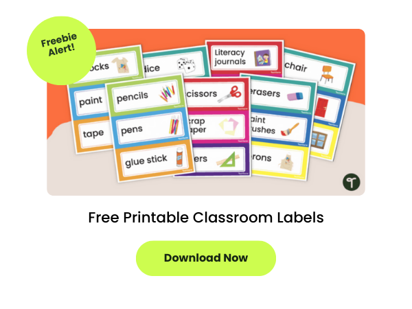 A set of classroom labels are shown piled on top of each other over an orange background. One green bubble reads freebie alert. Another green bubble reads download now