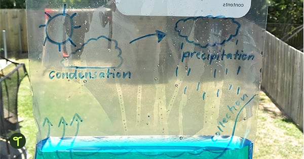 a water cycle activity for kids is shown using a recycled plastic bag. There is blue liquid in the bag and the step of the cycle are written on the bag