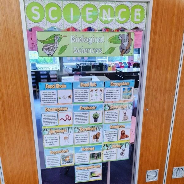 A science display on a classroom door 