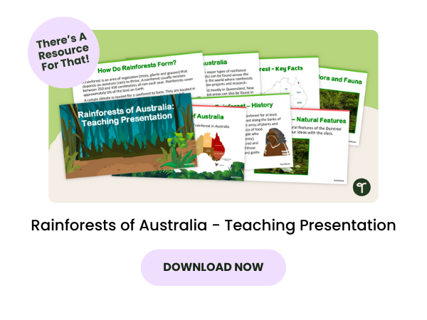 A primary teaching resource called 'Rainforests of Australia - Teaching Presentation 