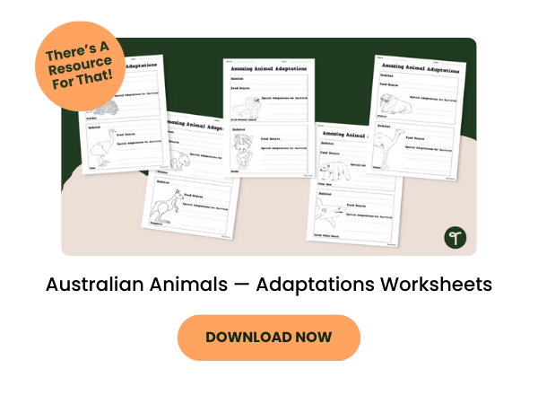 A primary teaching resource called 'Australian Animals - Adaptations Worksheet'