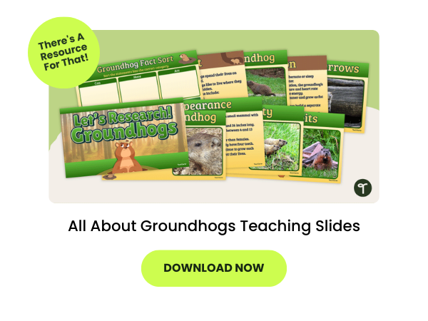 The words All About Groundhogs Teaching Slides appear beneath an image of slides from the Google Slides deck