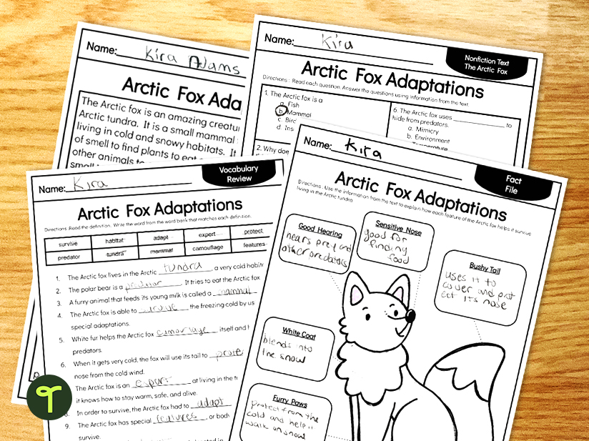 Arctic fox adaptation worksheet