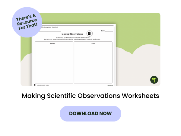 Making Scientific Observations Worksheets with purple 