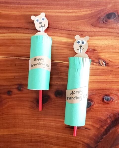 Paper Towel Groundhog Craft on wooden table