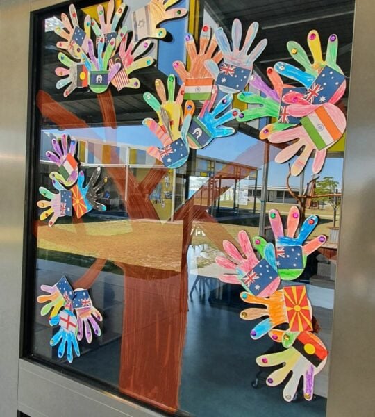 A window display of a tree and colourful hand print cut-outs showing different flags.