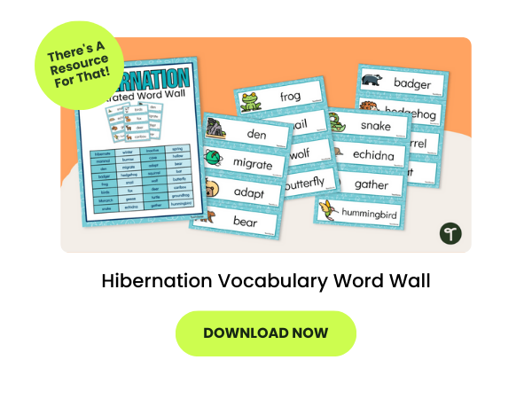 the word Hibernation Vocabulary Word Wall appear beneath an image of the word wall