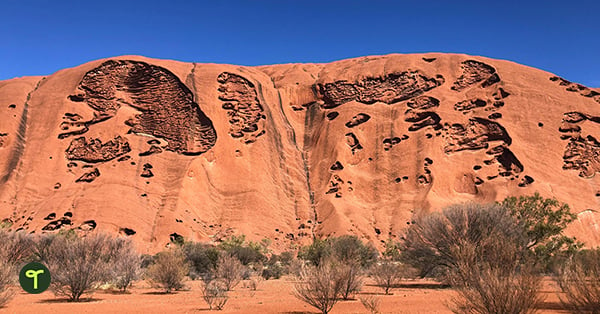 Uluru rock formation is seen with small trees in the foreground