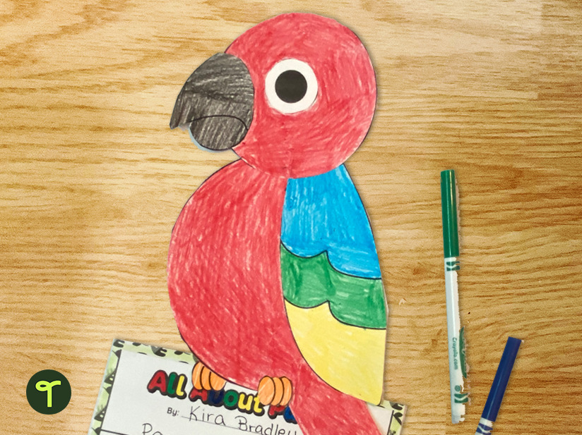 bird craft rainforest animal adaptation craft and write
