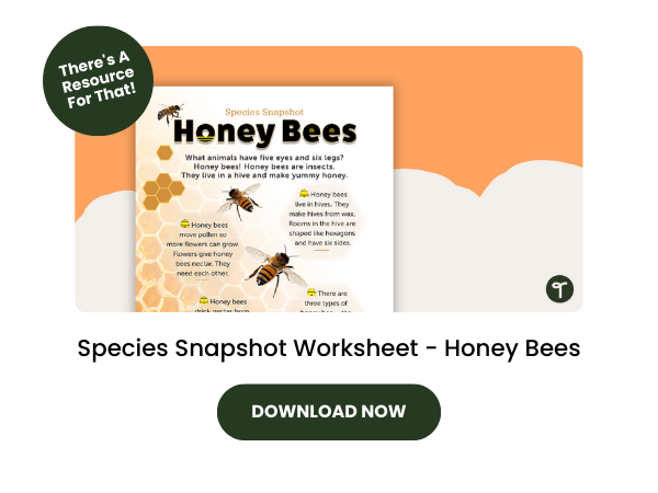 Species Snapshot Worksheet - Honey Bees with green 