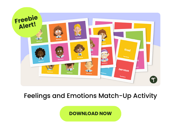 Feelings and Emotions Match-Up Activity