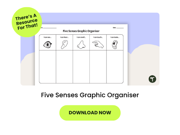 Five Senses Graphic Organiser