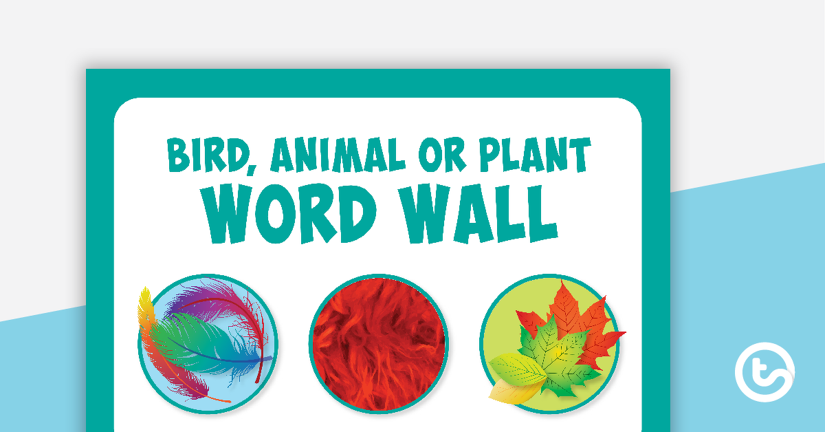 鸟类，动物或植物壁墙词汇的预览图像 - 教学资源
