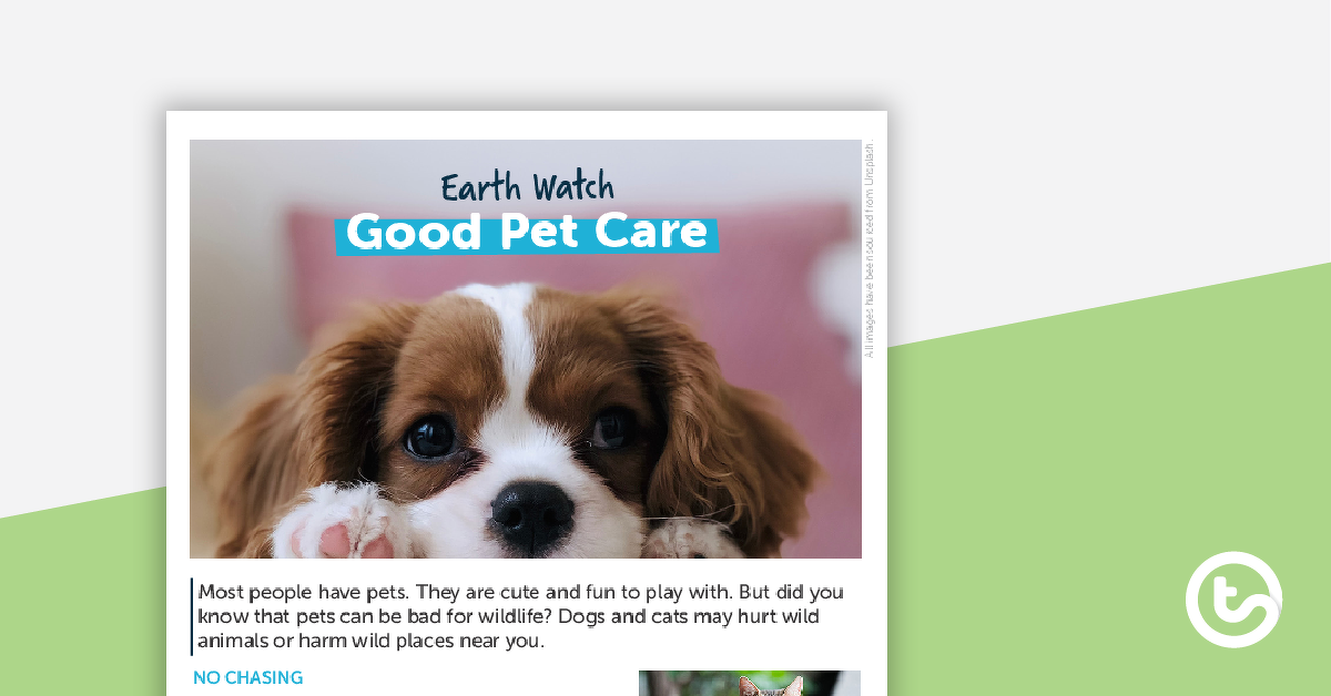 Preview image for Earth Watch: Good Pet Care – Comprehension Worksheet - teaching resource