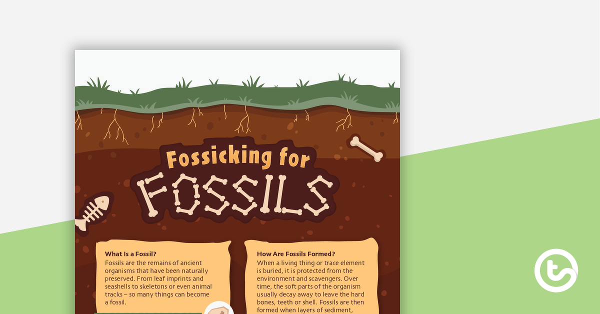 预览我age for Fossicking for Fossils – Worksheet - teaching resource