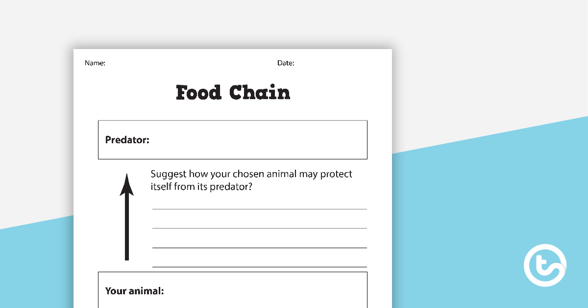 Preview image for Basic Food Chain Worksheet - teaching resource
