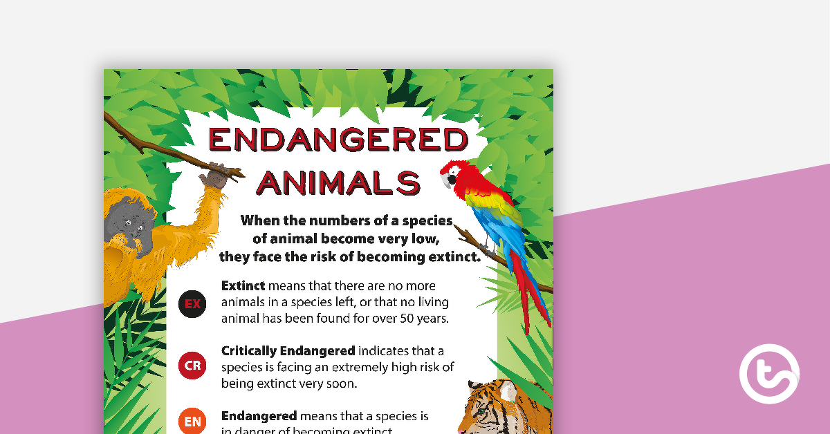 濒危动物分类海报的预览图像 - 教学资源