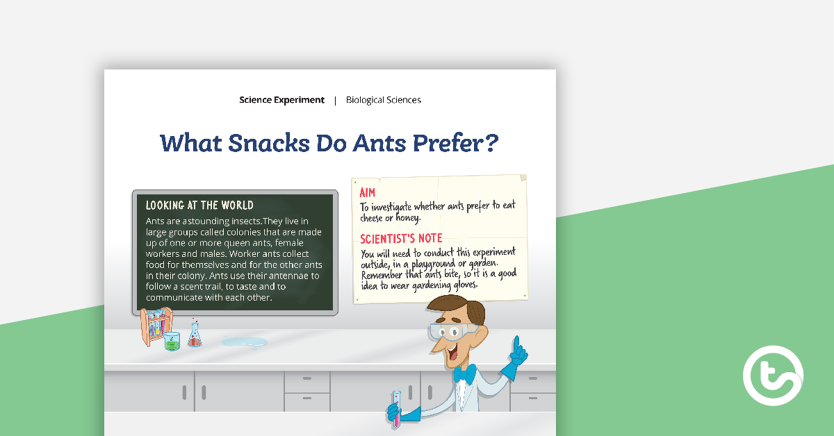 Preview image for Science Experiment - What Snacks Do Ants Prefer? - teaching resource