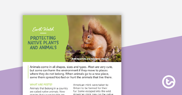 Preview image for Earth Watch: Protecting Native Plants and Animals – Comprehension Worksheet - teaching resource