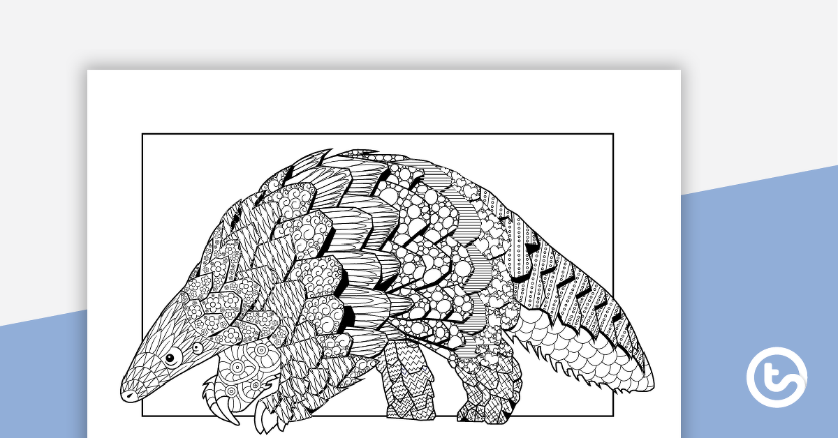 Preview image for Pangolin Mindful Colouring In Sheet - teaching resource