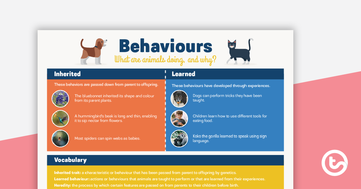 Preview image for Inherited versus Learned Behaviours Poster - teaching resource