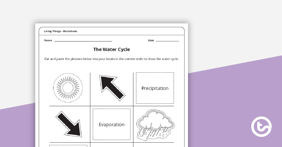 Preview image for The Water Cycle - Worksheet - teaching resource