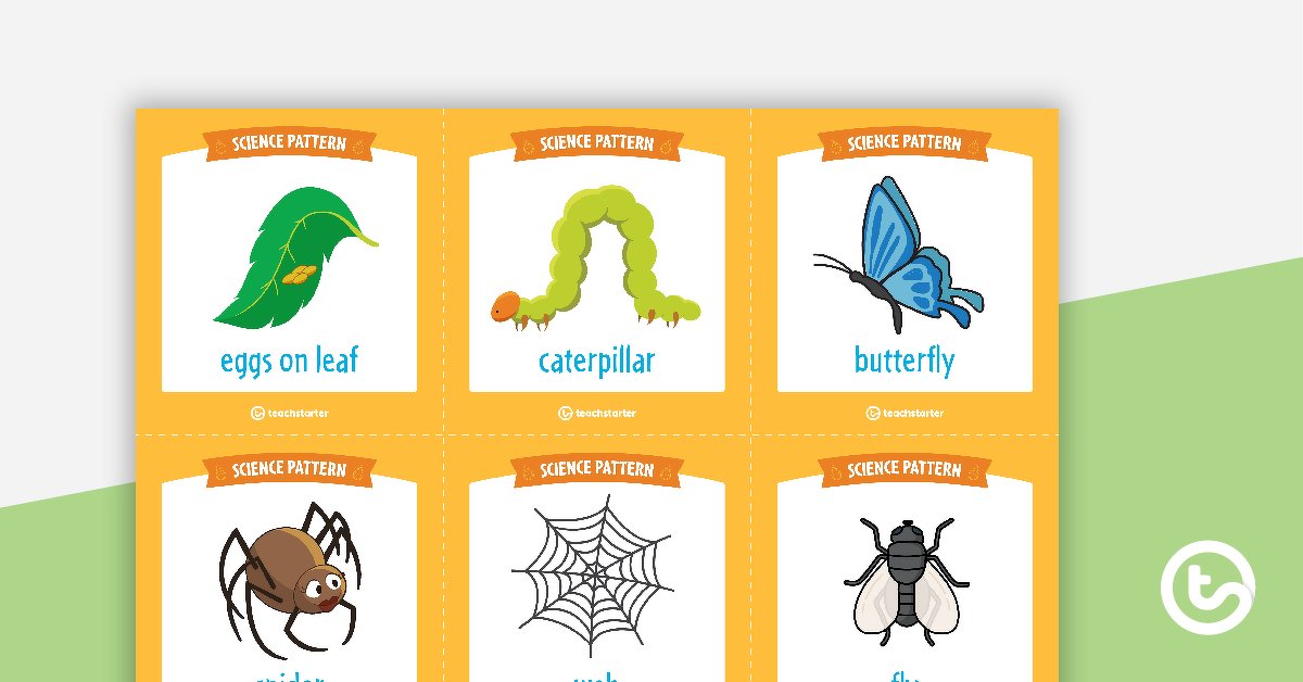 Preview image for Science Pattern Match Cards - teaching resource
