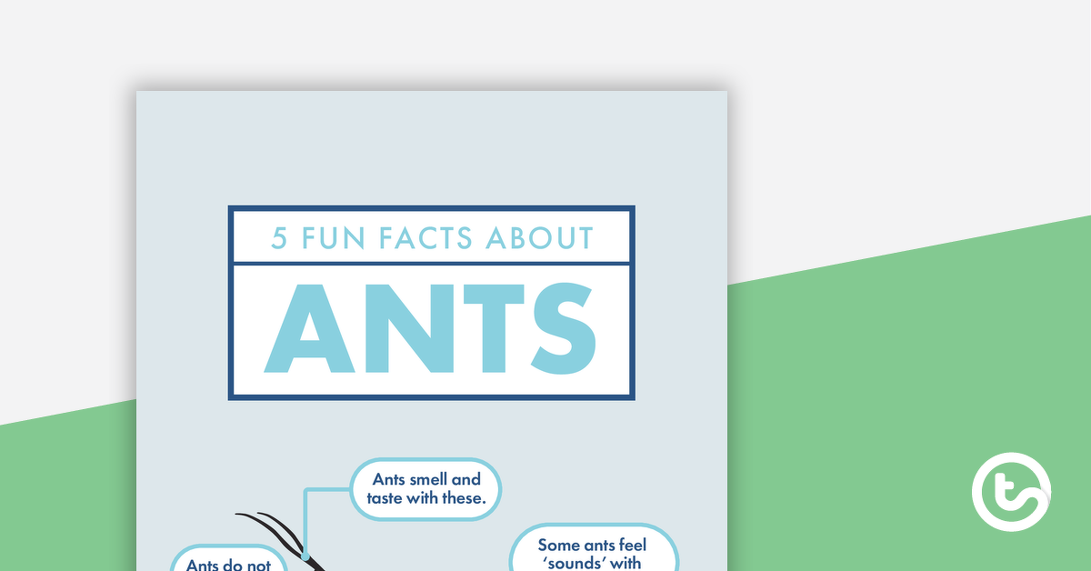 Preview image for 5 Fun Facts About Ants - Read and Respond Worksheet - teaching resource