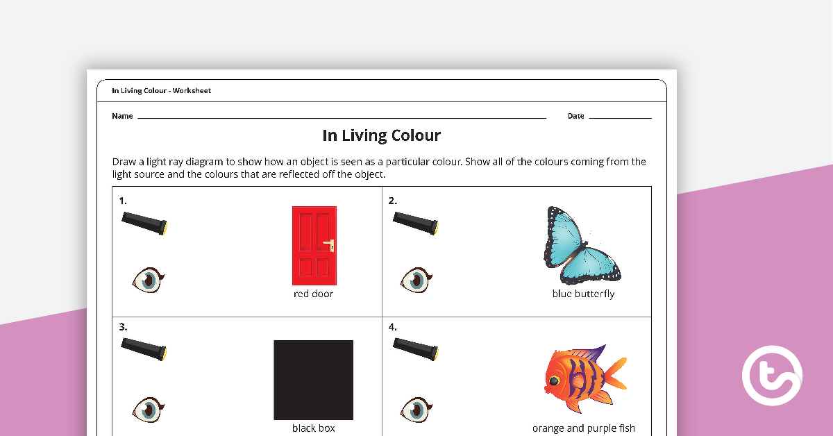 Preview image for In Living Colour Worksheet - teaching resource