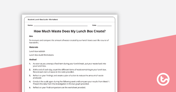 Thumbnail of Student Lunch Box Audit Worksheet - teaching resource