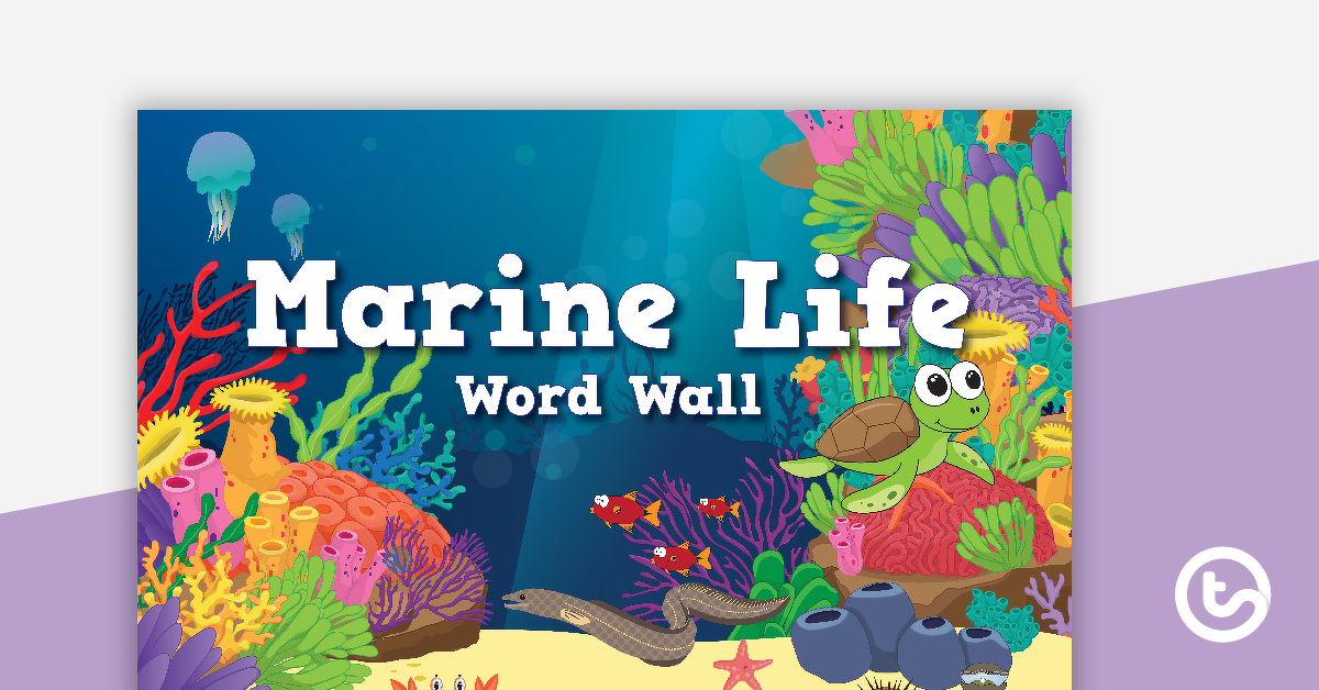 预览我age for Marine Life Word Wall Vocabulary - teaching resource
