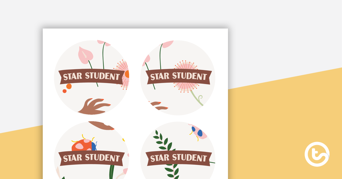 预览图像色彩鲜艳的昆虫– Star Student Badges - teaching resource