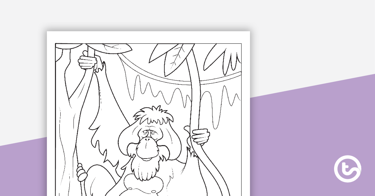 Preview image for Orangutan Colouring in Sheet - teaching resource