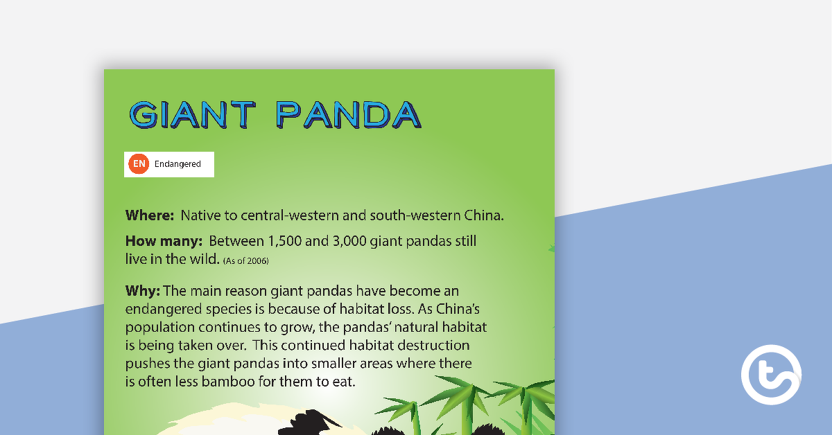巨型熊猫濒危动物海报的预览图像 - 教学资源