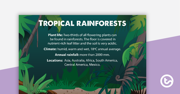 预览图像的热带雨林事实说明-教学资源
