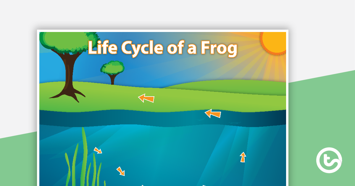 青蛙生命周期排序的预览图像 - 教学资源