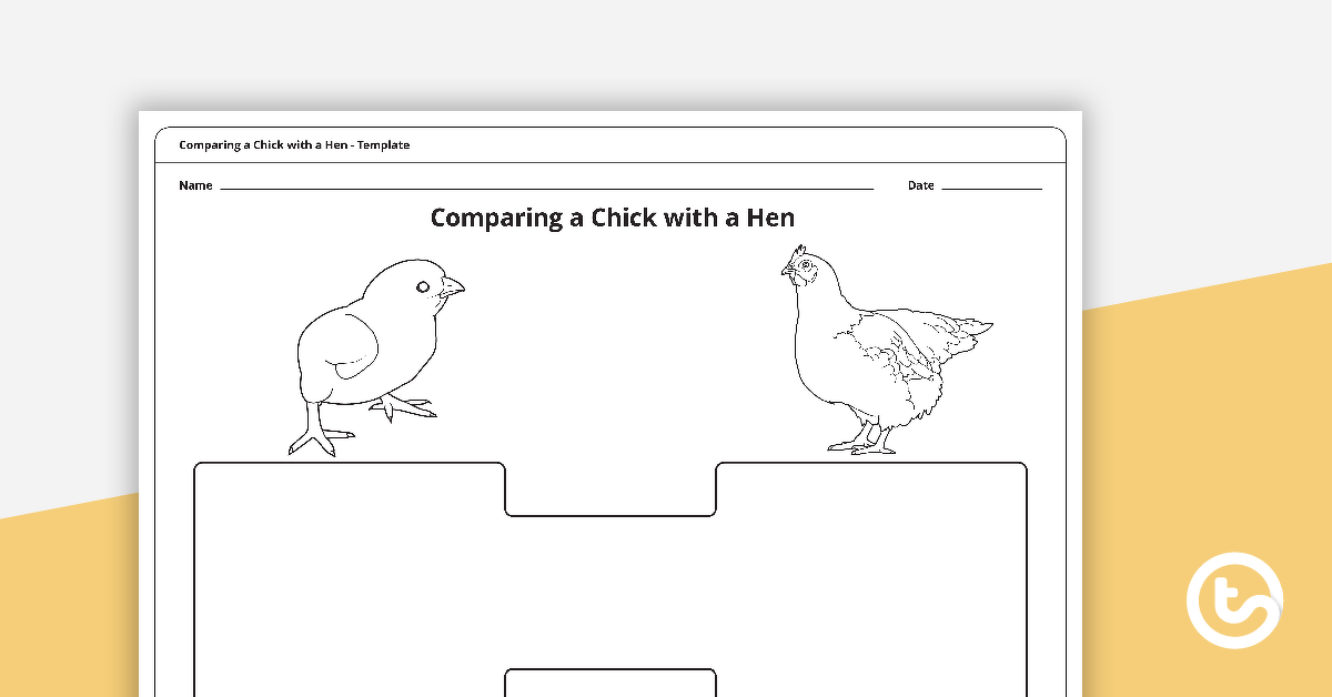 Preview image for Comparing a Chick with a Hen Template - teaching resource
