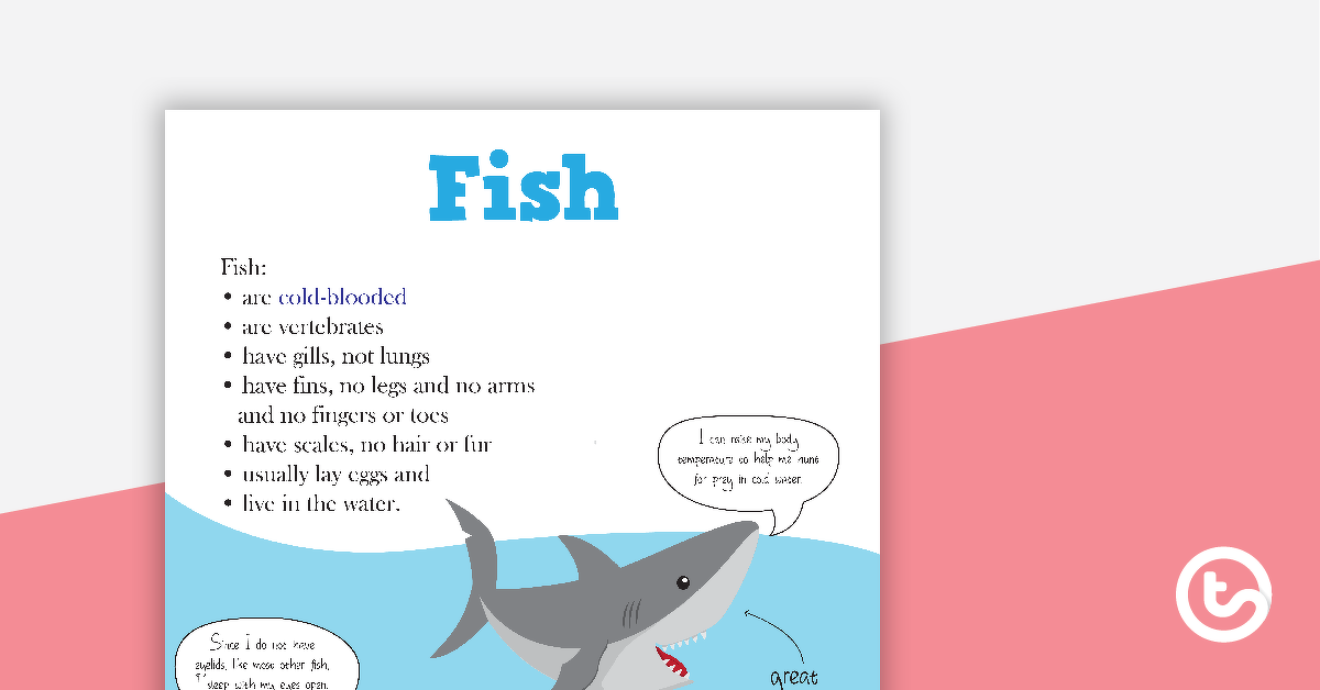 动物分类海报的预览图像 - 鱼 - 教学资源
