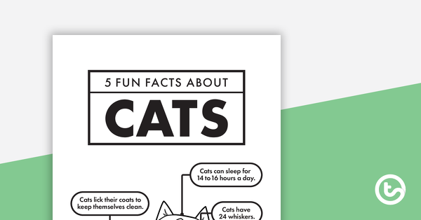 关于猫的5个有趣事实的缩略图 - 阅读和响应工作表 - 教学资源