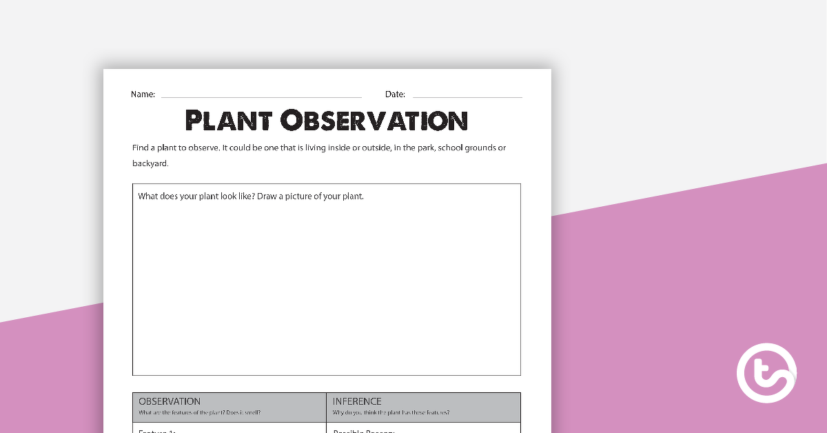 Preview image for Plant Observation Worksheet - teaching resource