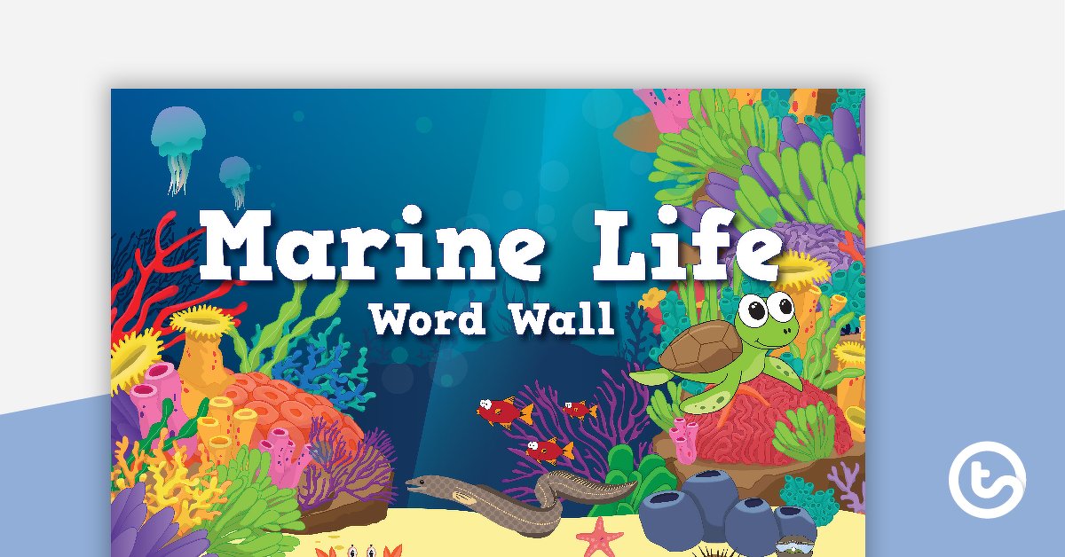 预览图像海洋生物的单词词汇——教学资源