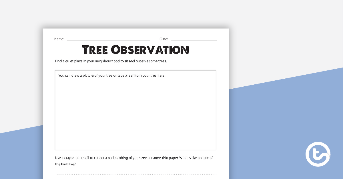 Preview image for Tree Observation Worksheet - teaching resource