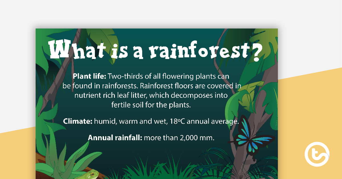 预览图像的雨林是什么?海报——教学资源