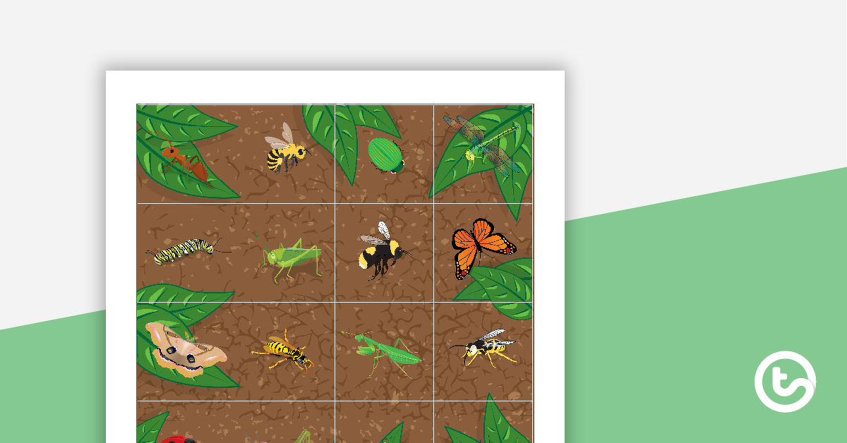 Preview image for Minibeasts Coding Robot Mat - teaching resource