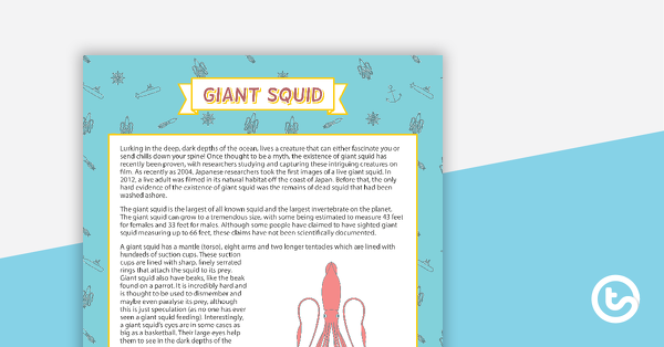 Preview image for Comprehension - Giant Squid - teaching resource