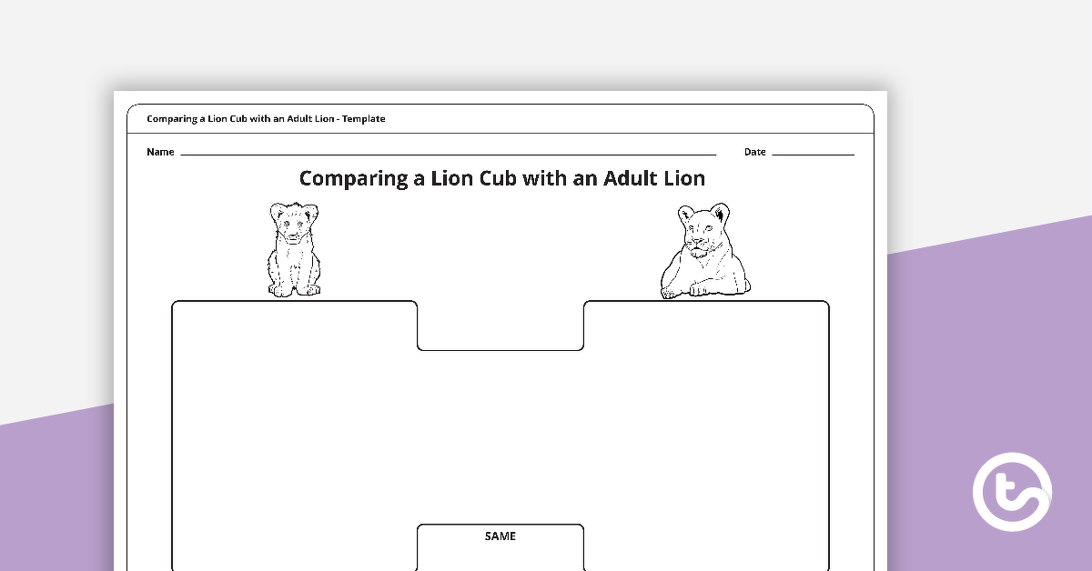 公关eview image for Comparing a Lion Cub with an Adult Lion Template - teaching resource