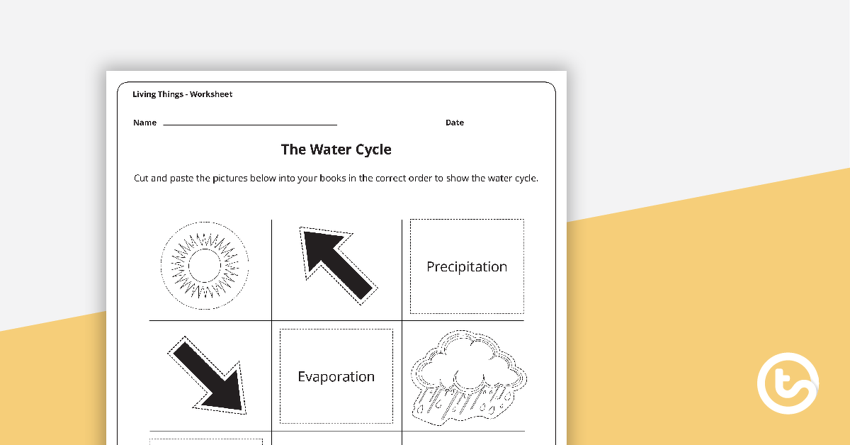 预览图像The Water Cycle - Worksheet - teaching resource